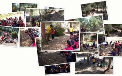 5º de Primaria en Ibi