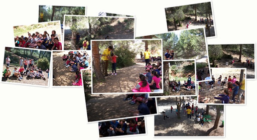 5º de Primaria en Ibi