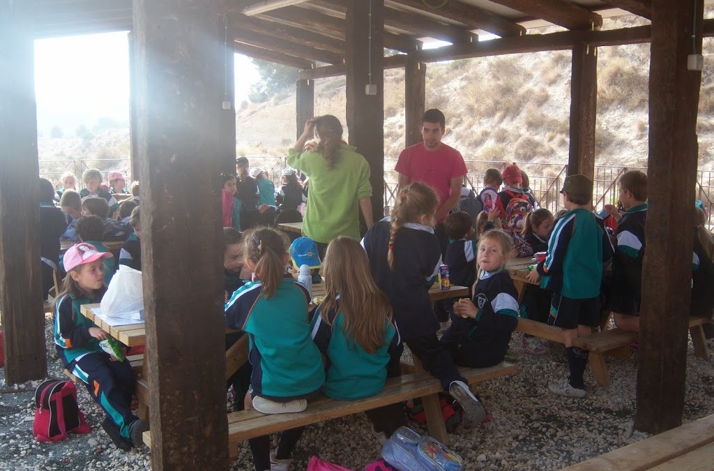 L@s alumn@s de 1º y 2º de primaria han disfrutado un día en  la granja Natura School.