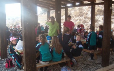 L@s alumn@s de 1º y 2º de primaria han disfrutado un día en  la granja Natura School.
