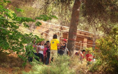 L@s alumn@s de 5º han realizado actividades de multiaventura y supervivencia  en Ibi.