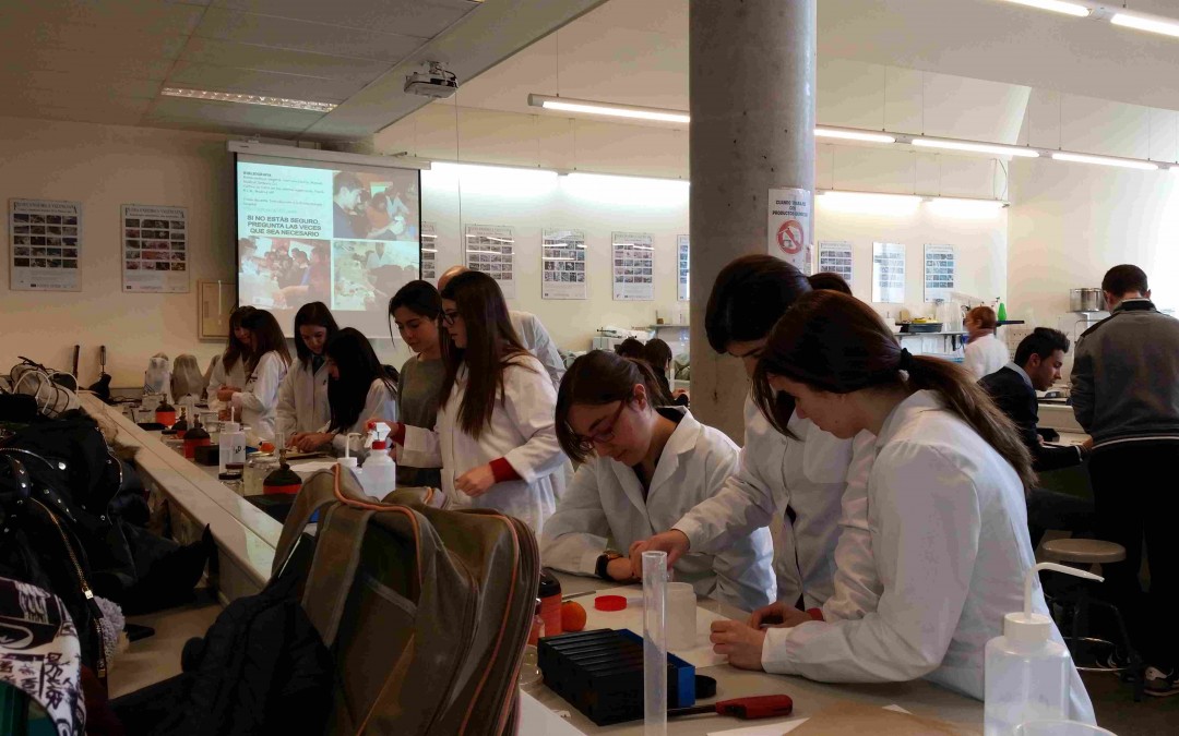 Estudia un día en la UMH