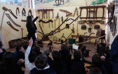 Pusol 4º Primaria
