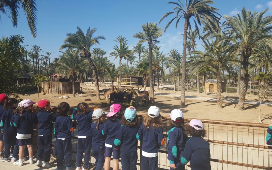 Excursión a Río-safari