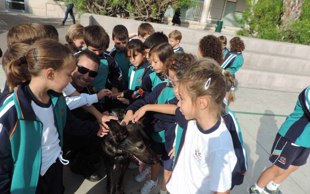 Patrulla canina