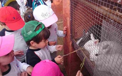 Los alumnos de infantil visitamos la granja escuela «La loma»