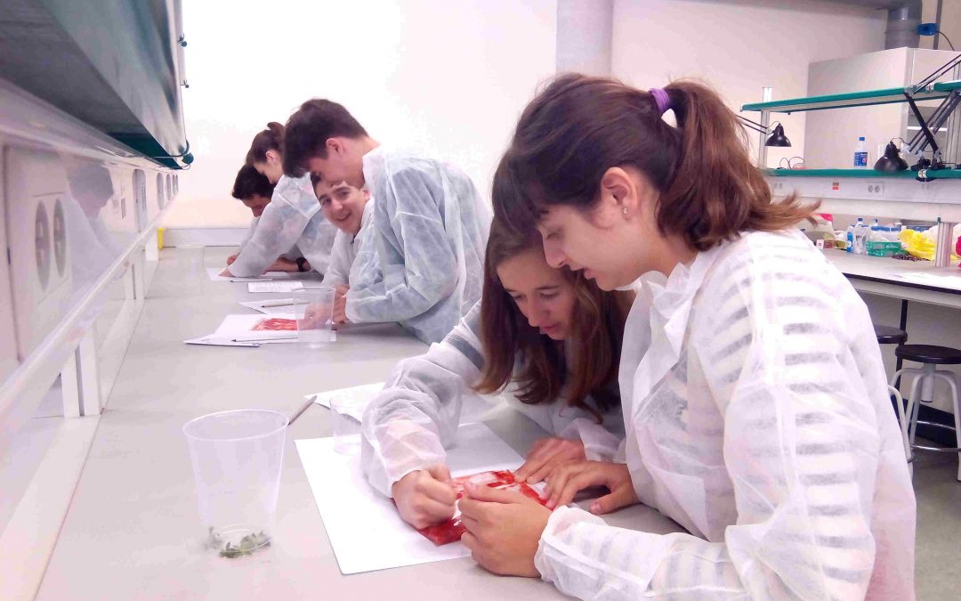 Feria de la Ciencia y la Tecnología en Elche, FeCiTElx 2017