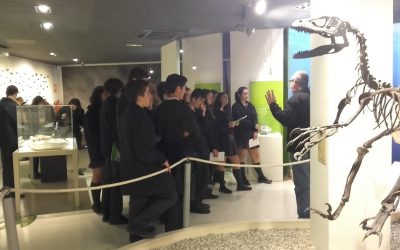 Ruta paleourbana y visita guiada al MUPE 4º ESO