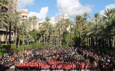 MIL ALBRICIAS 2019